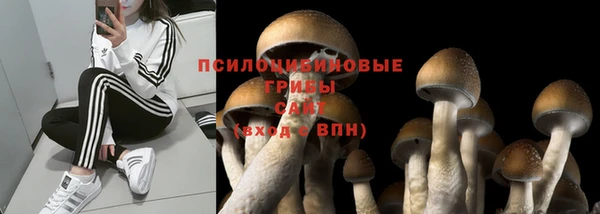 дистиллят марихуана Новозыбков