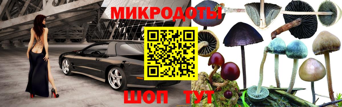 Псилоцибиновые грибы GOLDEN TEACHER Химки