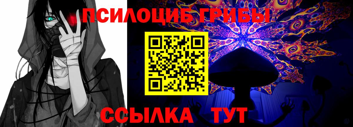 Галлюциногенные грибы прущие грибы  Вход с VPN  Химки 