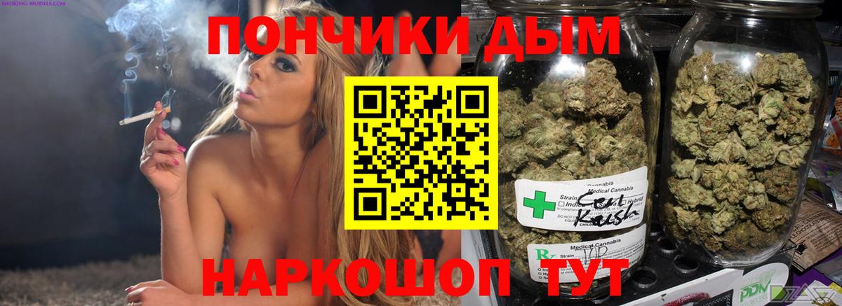 Бошки Шишки план Химки